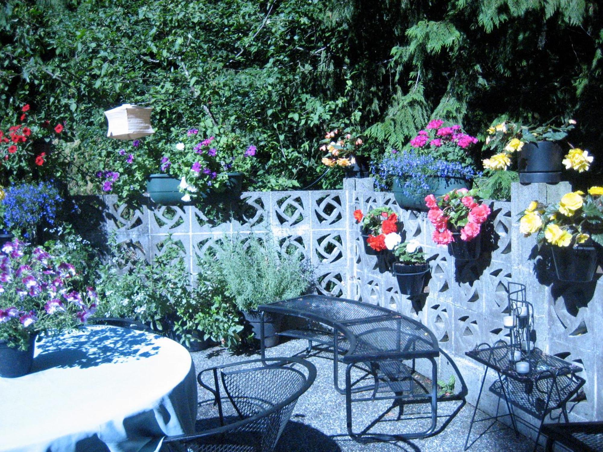 Misty Meadows B&B Langford Exterior foto
