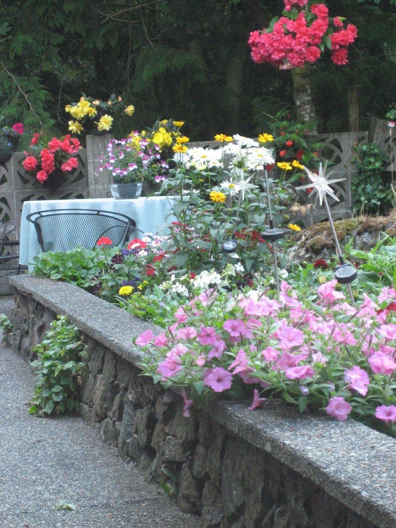 Misty Meadows B&B Langford Exterior foto